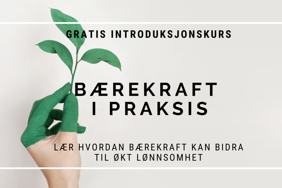 bærekraft i praksis kurs